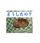 まよいクラブ（個別スタンプ：7）