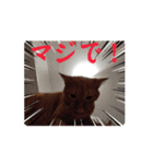 まよいクラブ（個別スタンプ：8）