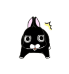 くろウサちゃん（個別スタンプ：5）