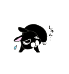 くろウサちゃん（個別スタンプ：6）