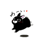 くろウサちゃん（個別スタンプ：13）