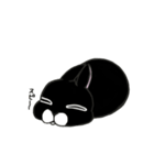 くろウサちゃん（個別スタンプ：17）