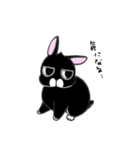 くろウサちゃん（個別スタンプ：23）