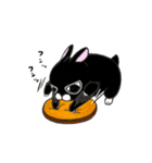 くろウサちゃん（個別スタンプ：34）