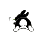 くろウサちゃん（個別スタンプ：35）