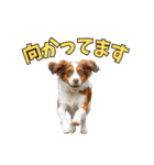 コーイケルホンディエ＠ネタ・日常会話（個別スタンプ：24）