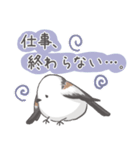我、シマエナガさん！！ 3（個別スタンプ：7）