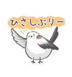 我、シマエナガさん！！ 3（個別スタンプ：13）