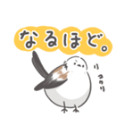 我、シマエナガさん！！ 3（個別スタンプ：24）