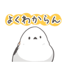 我、シマエナガさん！！ 3（個別スタンプ：33）