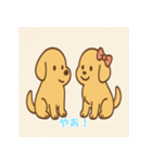 ゴールデンレトリバーかわいい仔犬スタンプ（個別スタンプ：4）