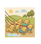 ゴールデンレトリバーかわいい仔犬スタンプ（個別スタンプ：9）