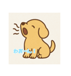 ゴールデンレトリバーかわいい仔犬スタンプ（個別スタンプ：10）