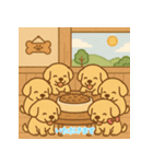 ゴールデンレトリバーかわいい仔犬スタンプ（個別スタンプ：11）