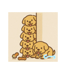 ゴールデンレトリバーかわいい仔犬スタンプ（個別スタンプ：12）