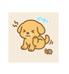 ゴールデンレトリバーかわいい仔犬スタンプ（個別スタンプ：13）