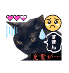 黒猫 ルナ院長165にゃんめ（個別スタンプ：6）