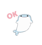 かわいいジンベエザメちゃん（個別スタンプ：1）