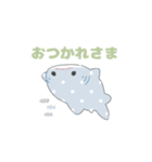 かわいいジンベエザメちゃん（個別スタンプ：11）