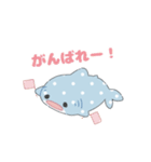 かわいいジンベエザメちゃん（個別スタンプ：16）