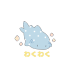 かわいいジンベエザメちゃん（個別スタンプ：17）