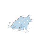 かわいいジンベエザメちゃん（個別スタンプ：32）
