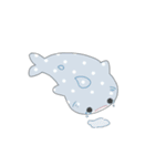 かわいいジンベエザメちゃん（個別スタンプ：33）
