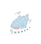 かわいいジンベエザメちゃん（個別スタンプ：35）