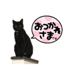 にゃんさん達（個別スタンプ：2）