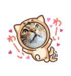 にゃんさん達（個別スタンプ：9）