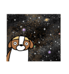 るなちゃんスタンプ 第9弾（個別スタンプ：16）