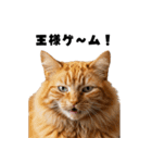 飲み会を爆上げする猫（個別スタンプ：4）