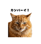 飲み会を爆上げする猫（個別スタンプ：8）