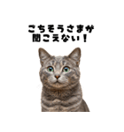 飲み会を爆上げする猫（個別スタンプ：18）