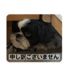 働く犬のスタンプ（個別スタンプ：1）