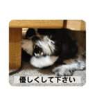 働く犬のスタンプ（個別スタンプ：3）