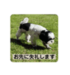 働く犬のスタンプ（個別スタンプ：5）