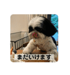 働く犬のスタンプ（個別スタンプ：7）