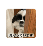 働く犬のスタンプ（個別スタンプ：8）