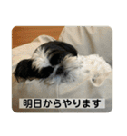 働く犬のスタンプ（個別スタンプ：9）