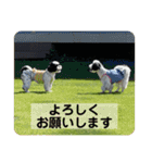 働く犬のスタンプ（個別スタンプ：17）