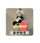 働く犬のスタンプ（個別スタンプ：18）