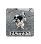 働く犬のスタンプ（個別スタンプ：21）