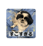働く犬のスタンプ（個別スタンプ：26）
