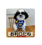 働く犬のスタンプ（個別スタンプ：27）