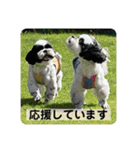 働く犬のスタンプ（個別スタンプ：28）