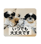 働く犬のスタンプ（個別スタンプ：30）