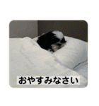 働く犬のスタンプ（個別スタンプ：32）