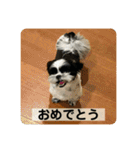 働く犬のスタンプ（個別スタンプ：36）
