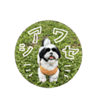 働く犬のスタンプ（個別スタンプ：37）